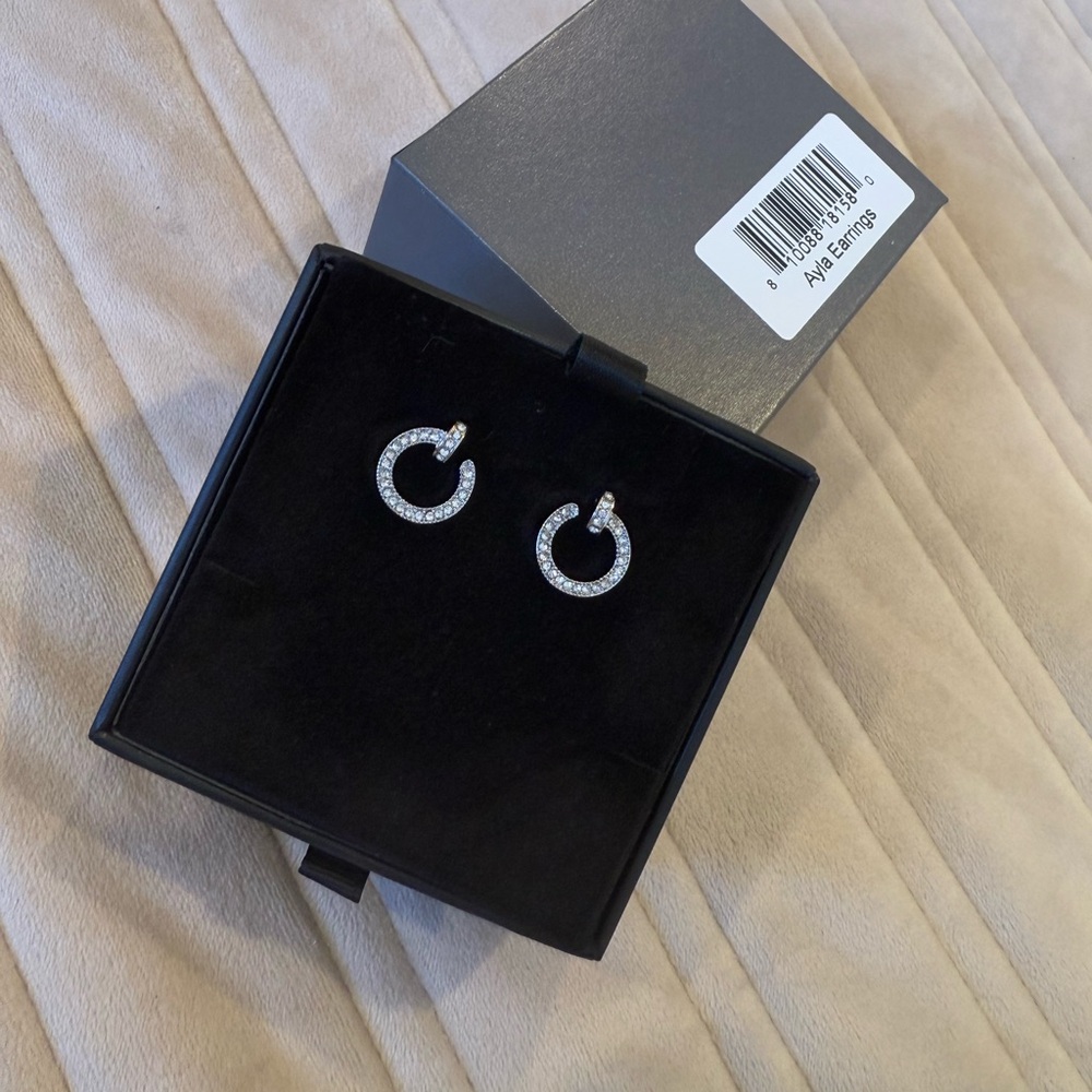 Elegant Silver Hoop Earrings